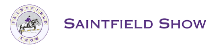 website logo